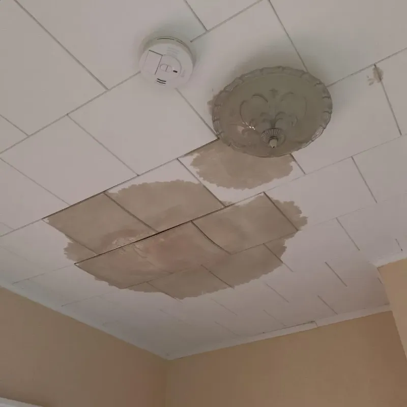 Ceiling Water Damage Repair in Cleora, OK