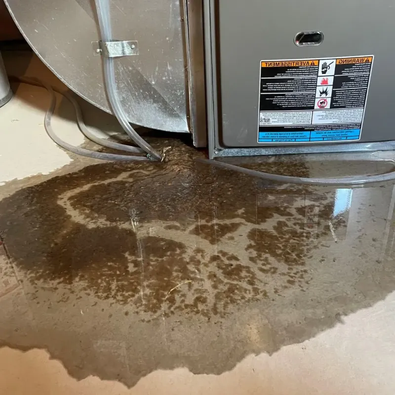 Pipe Burst and Leak Restoration in Cleora, OK